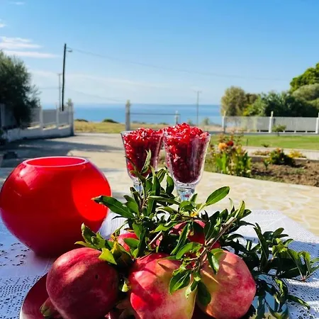 Sofia * Nea Kallikrateia